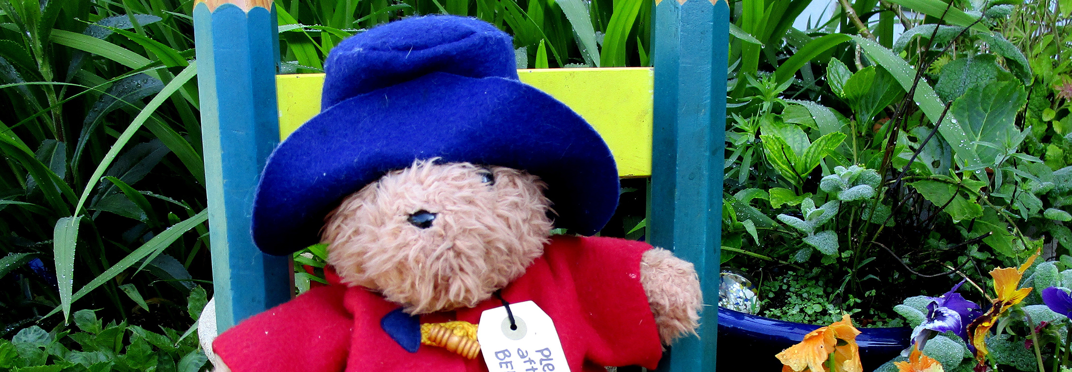 paddington bear london