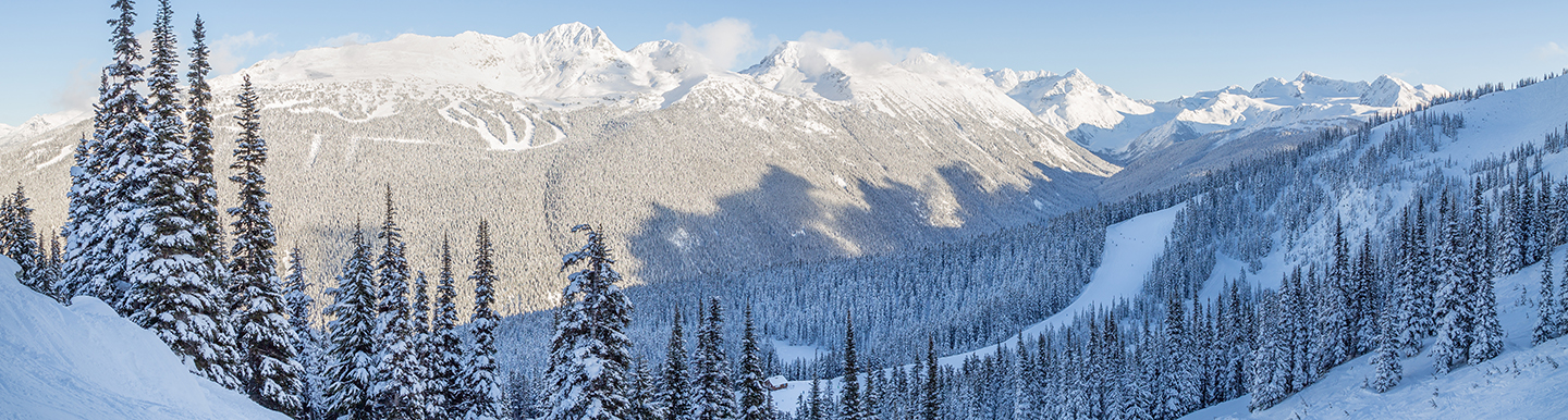 hoary marmots in whistler