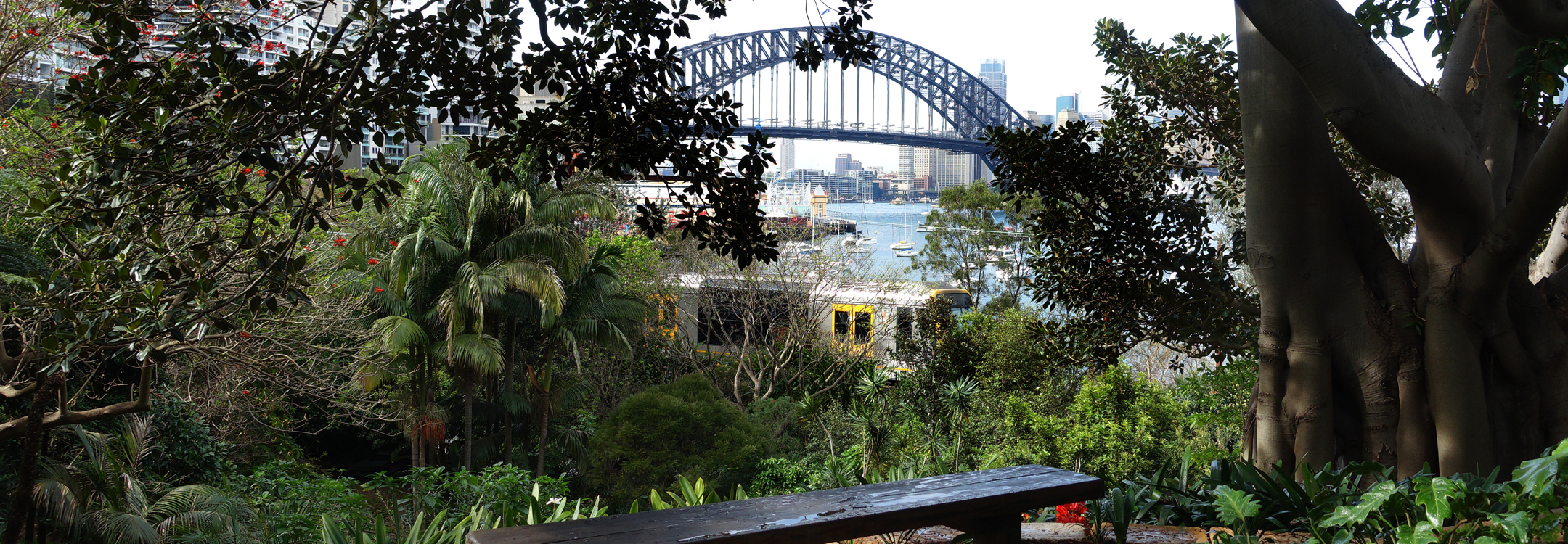 view of sydney harbour bridge from wendys secret garden